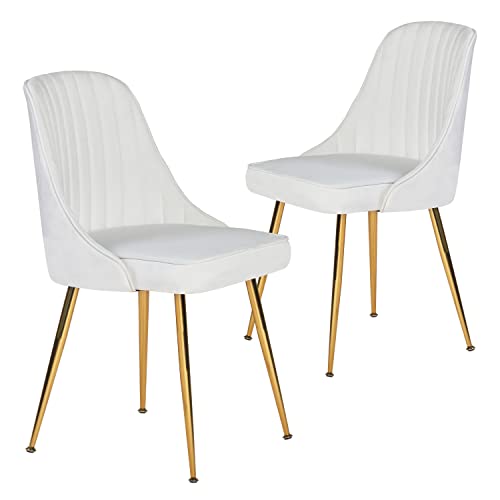 ANOUR Modern Dining Chairs,Set of 2, Velvet Kitchen Chair with Gold Metal Legs,Upholstered Side Chair for Dining Room,Living Room,Makeup Room(White,2 Pack)