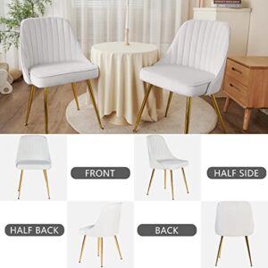 ANOUR Modern Dining Chairs,Set of 2, Velvet Kitchen Chair with Gold Metal Legs,Upholstered Side Chair for Dining Room,Living Room,Makeup Room(White,2 Pack)