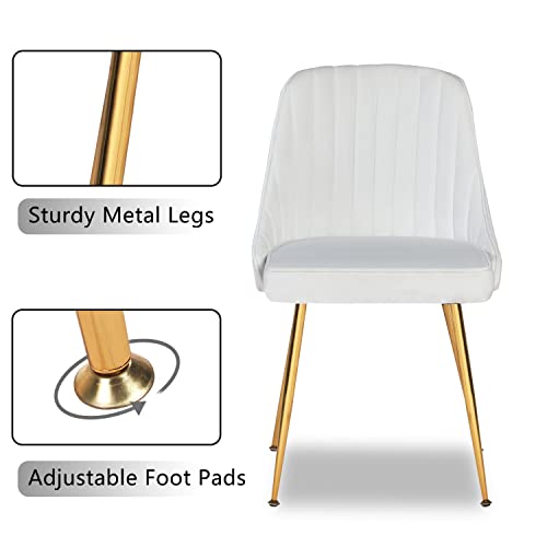 ANOUR Modern Dining Chairs,Set of 2, Velvet Kitchen Chair with Gold Metal Legs,Upholstered Side Chair for Dining Room,Living Room,Makeup Room(White,2 Pack)