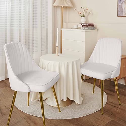 ANOUR Modern Dining Chairs,Set of 2, Velvet Kitchen Chair with Gold Metal Legs,Upholstered Side Chair for Dining Room,Living Room,Makeup Room(White,2 Pack)