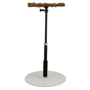 ashata play stand, bird perch, portable detachable play stand for indoor outdoor traveling birds to stand, climb or play