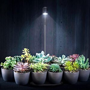 Oltraman LED Aquarium Light, 3W USB Powered Fish Tank Plant Lamp with Black Base Board for 360 Betta Fish Bowl, Potted Plants, Succulents, Miniature Landscape