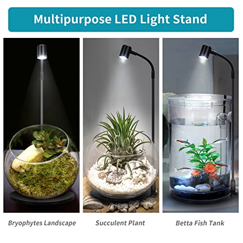 Oltraman LED Aquarium Light, 3W USB Powered Fish Tank Plant Lamp with Black Base Board for 360 Betta Fish Bowl, Potted Plants, Succulents, Miniature Landscape