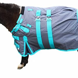 CHALLENGER 58" 1000D Miniature Weanling Donkey Pony Horse Foal Winter Blanket 51974TL