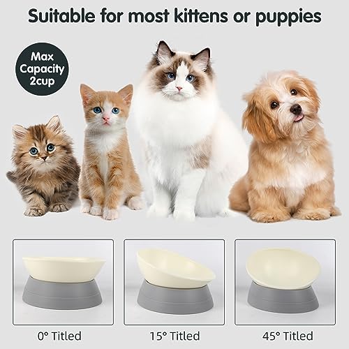 JWPC Bulldog Bowl Anti-Slip Dog Cat Dish Detachable Rubber Dog Bowl Pet Sterile Tilted Pet Feeder Slope Base (Grey, 2 Cup (Small/Medium Dog))