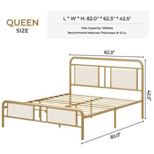 Hasuit Queen Size Bed Frame with Tufted Upholstered Oval Headboard, Heavy Duty Golden Metal Bed Frame Metal with Wooden Slats, Easy Assembly, No Box Spring Needed