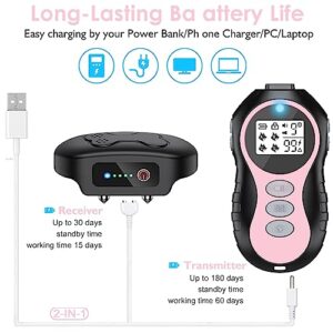 Dog Shock Collar - Training Effect is Obvious, Waterproof Rechargeable Electric Dog Training Collar with Remote for Small Medium Large Dogs (15-150lbs) with Flashlight Beep Vibration Shock Modes