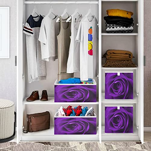 Kigai Purple Rose Storage Baskets, 16x11x7 in Collapsible Fabric Storage Bins Organizer Rectangular Storage Box for Shelves, Closets, Laundry, Nursery, Home Decor