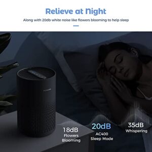 Air Purifiers Plus One More HEPA Filter for A11ergies, Pollen, Smoke, Dusts, Pets Dander, Odor, Hair, Ozone Free, 20db Quiet cleaner for Bedroom, Room, Kitchen and Living Room, SGS Certificaion