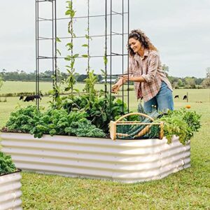 T4U Raised Garden Bed,17" Tall 8ft X 2ft Zinc-Aluminum-Magnesium Stainless Steel Durable Metal Planter Box, Easy to Install, Outdoor Planter Garden Bed for Vegetables Flowers Fruits etc