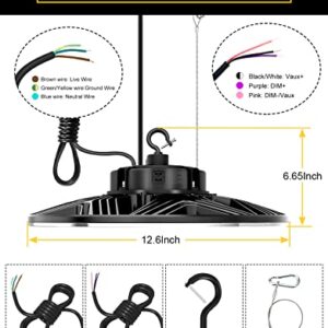 ORRGENA High Bay LED Light UFO High Bay LED Shop Lights, 80W/100W/150W Adjustable, 3000K/4000K/5000K Adjustable, Dimmable AC100-277V Low Bay Lighting for Gym Warehouse Factory Fixture