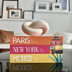 InspireMe Decorative Books for Home Decor, Faux Book Storage Box, Travel Table Books - Paris, New York, Mexico - Set of 3