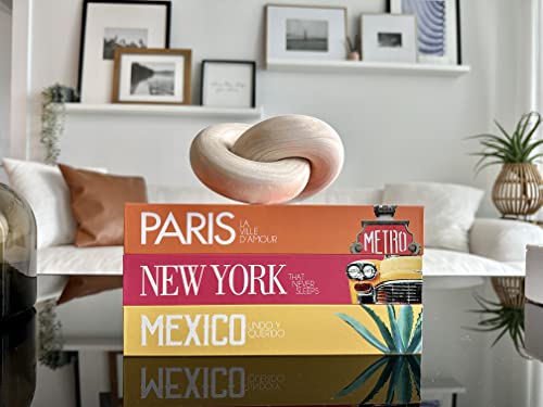 InspireMe Decorative Books for Home Decor, Faux Book Storage Box, Travel Table Books - Paris, New York, Mexico - Set of 3