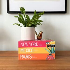 InspireMe Decorative Books for Home Decor, Faux Book Storage Box, Travel Table Books - Paris, New York, Mexico - Set of 3