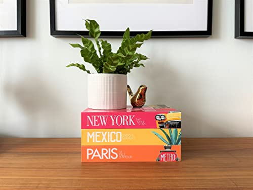 InspireMe Decorative Books for Home Decor, Faux Book Storage Box, Travel Table Books - Paris, New York, Mexico - Set of 3