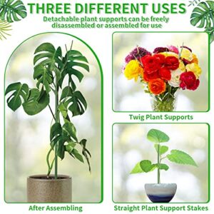 ROADPLUM 5 Pack 27.56" Detachable Twig Plant Support Stakes Set, Blends in to Plant, Branch Plant Sticks with Orchid Clips Twist Plant Ties, Twig Trellis for Indoor Outdoor Plants Potted Plants Flower