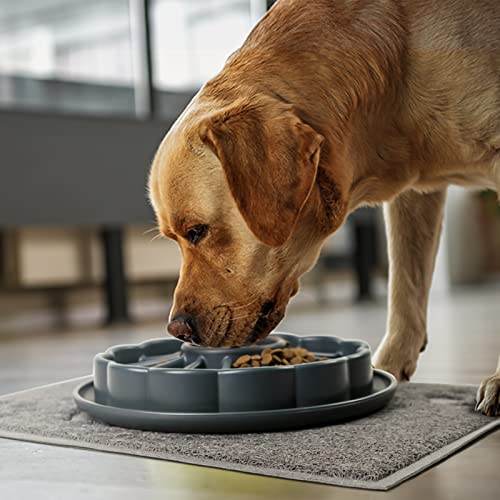 Slow Feeder Dog Bowls-Anti-Choking Dog Slow Feeder for Large Breed, Medium and Small Breed, Slow Eating Bowl for Dry Wet Food, Anti-Gulping Slow Feeding Bowl