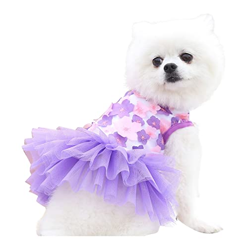 Adopt Dog Clothes Dress Pet Supplies Cute Dress Spring Cotton Summer Cotton Pet Clothes Small Female Vest T-Shirts Winter Puppy Sweatshirt Pajamas