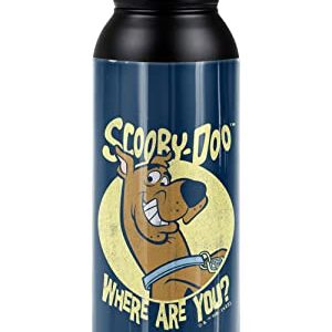 Scooby Doo! OFFICIAL Where Are You 24 oz Insulated Canteen Water Bottle, Leak Resistant, Vacuum Insulated Stainless Steel with Loop Cap