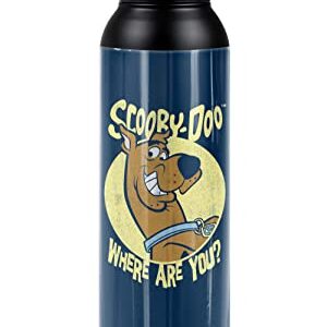 Scooby Doo! OFFICIAL Where Are You 24 oz Insulated Canteen Water Bottle, Leak Resistant, Vacuum Insulated Stainless Steel with Loop Cap