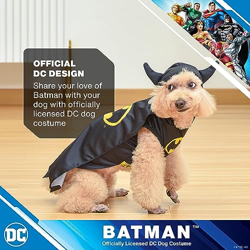 DC Comics Batman Dog Costume, Size Small l | Best DC Comics Batman Halloween Costume for Small Dogs | Funny Dog Costumes | Official Batman Costume for Pets Halloween