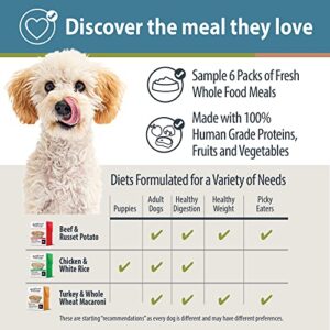 JustFoodForDogs Pantry Fresh Wet Dog Food Variety Pack, Complete Meal or Dog Food Topper, Beef, Chicken, & Turkey Recipes - 12.5 oz (Pack of 6)