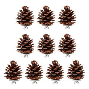 auhx pine cone chewing bird toy, parrots chewing pine cones bite resistant multifunction for conure for cockatiel