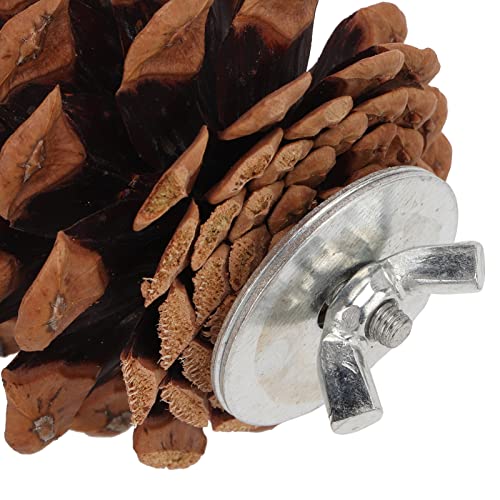 AUHX Pine Cone Chewing Bird Toy, Parrots Chewing Pine Cones Bite Resistant Multifunction for Conure for Cockatiel