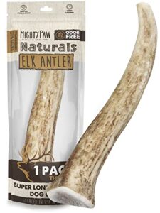 mighty paw elk antlers for dogs | medium size 6" premium deer antlers for dogs, pets and puppies. long lasting deer antler dog chew for aggressive chewers. dog antler chews for large and xl dog