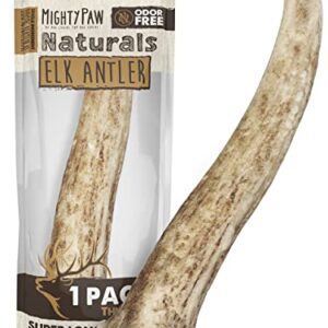 Mighty Paw Elk Antlers for Dogs | Medium Size 6" Premium Deer Antlers for Dogs, Pets and Puppies. Long Lasting Deer Antler Dog Chew for Aggressive Chewers. Dog Antler Chews for Large and XL Dog
