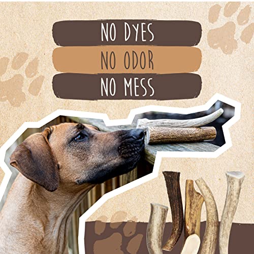 Mighty Paw Elk Antlers for Dogs | Medium Size 6" Premium Deer Antlers for Dogs, Pets and Puppies. Long Lasting Deer Antler Dog Chew for Aggressive Chewers. Dog Antler Chews for Large and XL Dog