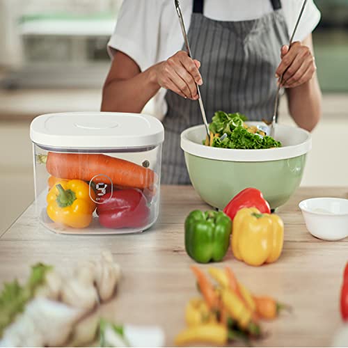 LivLab 10 Lbs Storage Container Bin Rice Dispenser with Measuring Cup Food Cereal Container Bins Household for Kitchen Pantry Organization