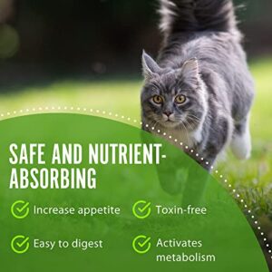 NutraVital - Biotic for Cats, Cat Probiotic and Prebiotic Supplement, Cat Essentials for Indoor Cats & Outdoor, Cat Supplements for Digestive & Immune System Support, Cat Probiotic Powder, 40 g