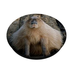 Capybara PopSockets Swappable PopGrip