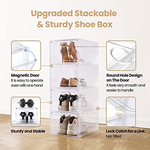 Amllas 10 Pack Clear Shoe Boxes Stackable,Shoe Storage for Closet,Sturdy Box Containers with Door,Sneaker Storage,Easy to Assemble,Fit up US Size 12(13.8”x 9.84”x 7.1”)