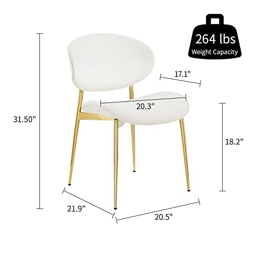 Art Leon Vanity Chair, Set of 2, Mid Century Modern Curved Velvet Upholstered Dining Chairs with Gold Plated Legs for Bedroom Bathroom Makeup Room, Off White