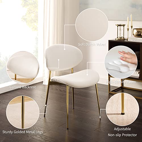 Art Leon Vanity Chair, Set of 2, Mid Century Modern Curved Velvet Upholstered Dining Chairs with Gold Plated Legs for Bedroom Bathroom Makeup Room, Off White