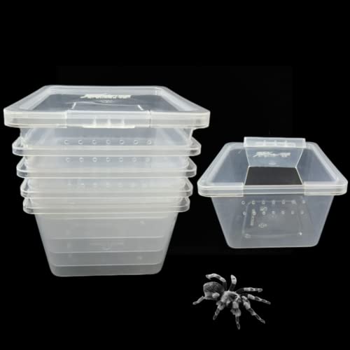 5 Pcs Acrylic Transparent Insect Reptile Spider Terrariums Breeding Box Hatching Container,Large Size(10cm x10cm x6.5cm)