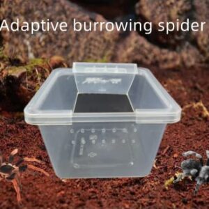 5 Pcs Acrylic Transparent Insect Reptile Spider Terrariums Breeding Box Hatching Container,Large Size(10cm x10cm x6.5cm)