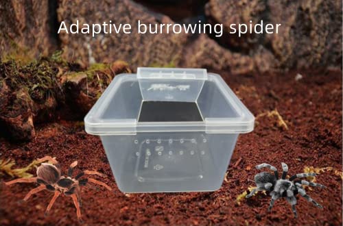 5 Pcs Acrylic Transparent Insect Reptile Spider Terrariums Breeding Box Hatching Container,Large Size(10cm x10cm x6.5cm)