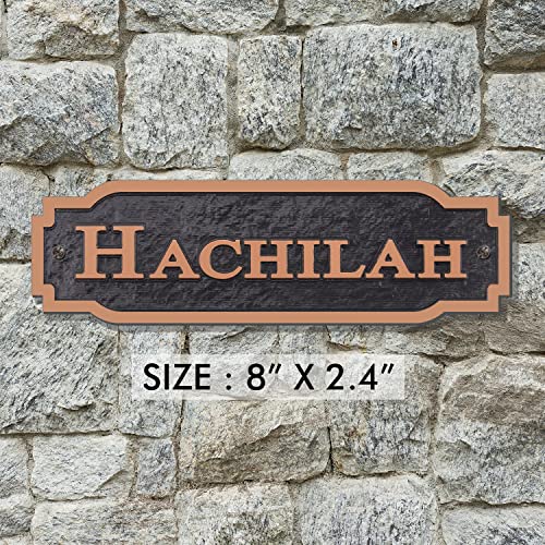 Acrylic Horse Stall Name Plate, 2.4" x 8" Personalized Stall Signs, UV Protected, Custom Pet Name Sign, All Weather Adhesive, Mounting (Antique Copper, Style 2)