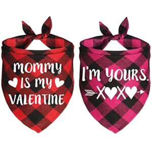 JOTFA 2 Pack Valentine’s Day Dog Bandanas, Plaid Dog Puppy Valentines Bandana Scarf for Small Medium Large Dogs Pets (Red & Pink)