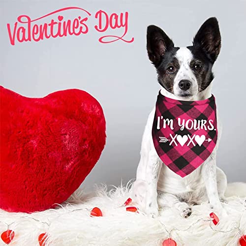 JOTFA 2 Pack Valentine’s Day Dog Bandanas, Plaid Dog Puppy Valentines Bandana Scarf for Small Medium Large Dogs Pets (Red & Pink)