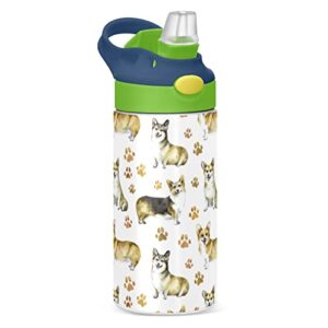 mchiver watercolor corgi paw puppy dog kids water bottle with straw insulated stainless steel kids water bottle thermos for school boys girls bpa free cups 12 oz / 350 ml green top