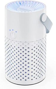 mini portable air purifier, true hepa filter cleans air, helps alleviate allergies, eliminates smoke & more, for home bedroom office desktop pet room