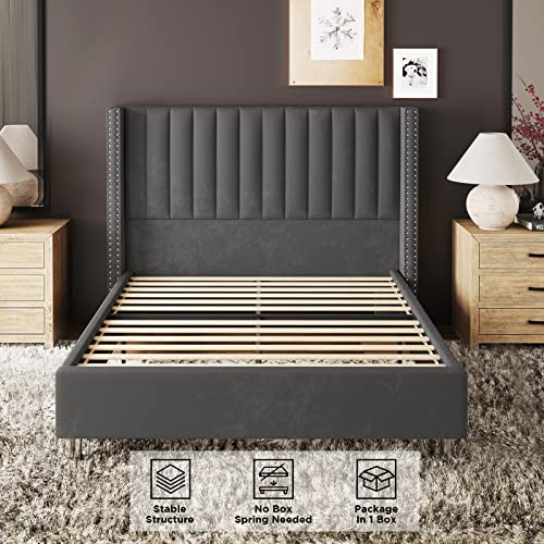 Jocisland Bed Frame Queen Size Upholstered Bed Wingback Headborad Velvet Channel Tufted/No Box Spring Needed/Dark Grey