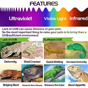 Fischuel Reptile Heat Lamp with Clamp,Dimmable Switch(Bulb Included) & UV Teating Card, Quick Test UVB Sensor, Over 500 Times Reusable (2 Packs)