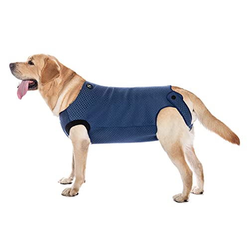 COODEO Dog Surgery Recovery Suit, Waterproof Recovery Suit for Dogs, Surgery Suit for Wounds Protect, Cone Alternative After Surgery, Dog Onesie for Surgery Female or Male (Blue, 2XL)