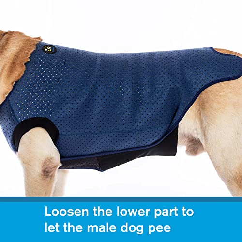 COODEO Dog Surgery Recovery Suit, Waterproof Recovery Suit for Dogs, Surgery Suit for Wounds Protect, Cone Alternative After Surgery, Dog Onesie for Surgery Female or Male (Blue, 2XL)