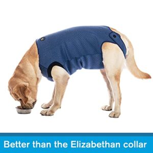 COODEO Dog Surgery Recovery Suit, Waterproof Recovery Suit for Dogs, Surgery Suit for Wounds Protect, Cone Alternative After Surgery, Dog Onesie for Surgery Female or Male (Blue, 2XL)